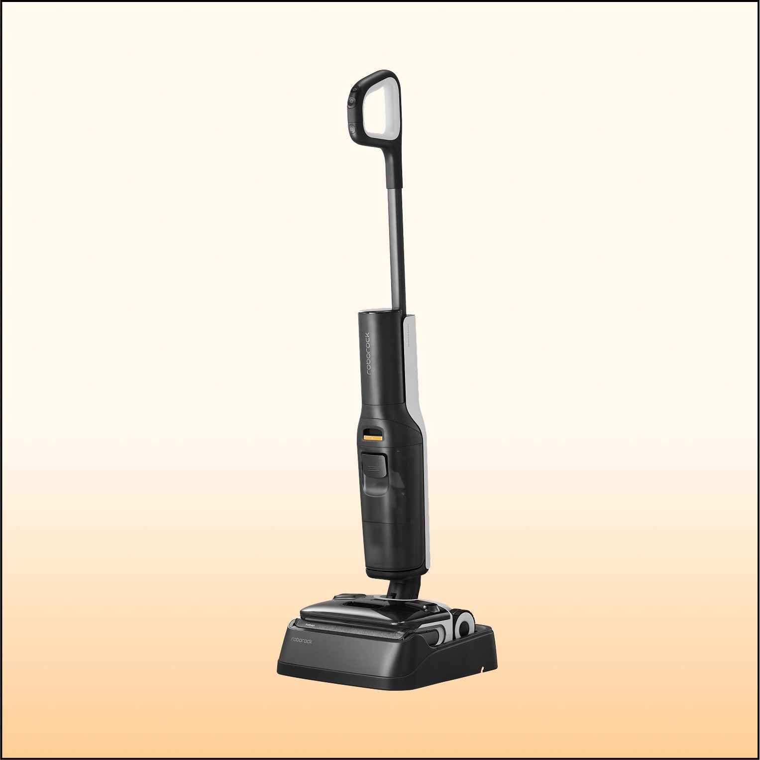Roborock F25 ACE