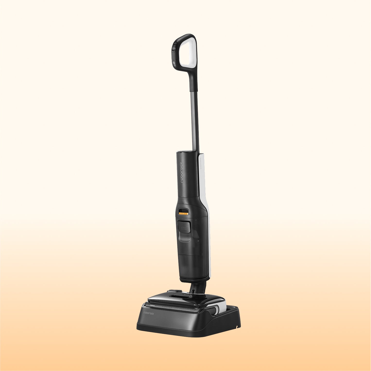 Roborock F25 LT
