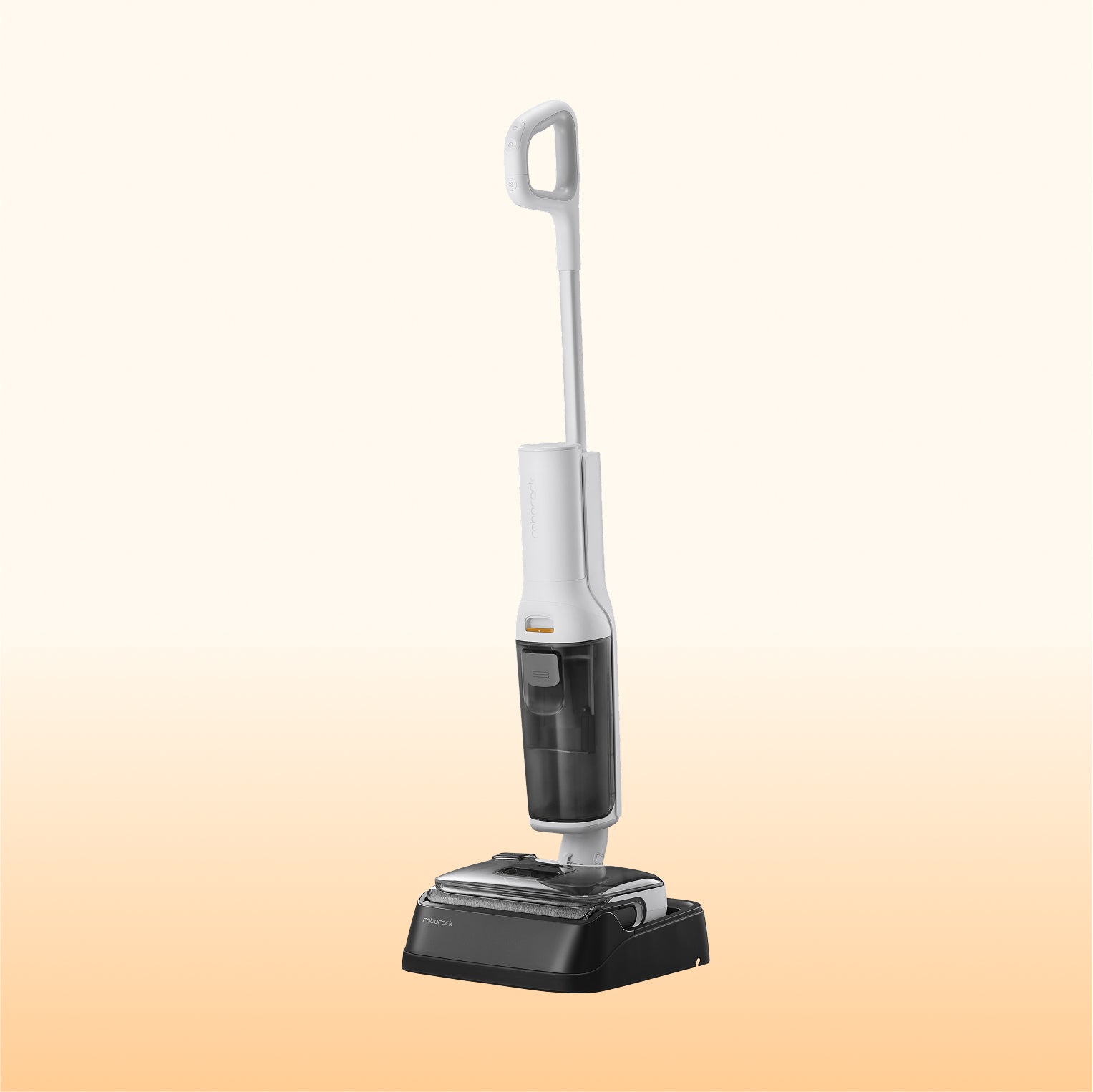 Roborock F25 RT