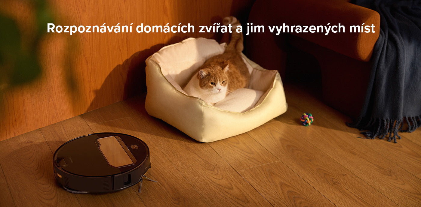 This is a image